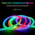 Neon LED Rope Light 2 meter